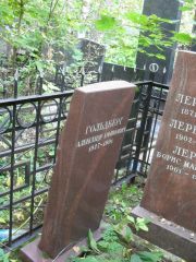 Гольдеберг Александр Ефимович, Москва, Востряковское кладбище