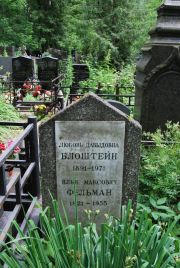 Фельман Илья Максович, Москва, Востряковское кладбище