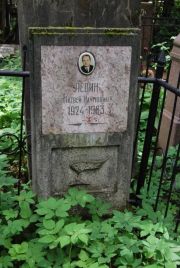 Левин Матвей Наумович, Москва, Востряковское кладбище