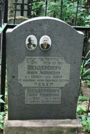 Шендерович Сарра Ильинична, Москва, Востряковское кладбище