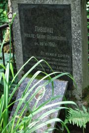 Лившиц Махле-Беля Айзиковна, Москва, Востряковское кладбище