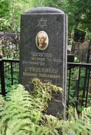 Студеницер Бенцион Пейсахович, Москва, Востряковское кладбище