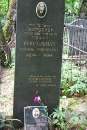 Гольдфельд Шмуль Хаймович, Москва, Востряковское кладбище