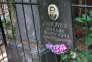 Локшин Михаил Блорисович, Москва, Востряковское кладбище