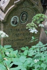 Левина Тауба Ароновна, Москва, Востряковское кладбище