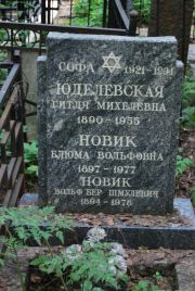 Новик Блюма Вольфовна, Москва, Востряковское кладбище