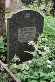 Пекелис Хая Манусовна, Москва, Востряковское кладбище