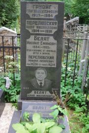 Переюбская Циля Михайловна, Москва, Востряковское кладбище