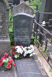 Могилевский Александр Моисеевич, Москва, Востряковское кладбище