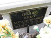 Поляк Ицко Менеделевич, Москва, Востряковское кладбище