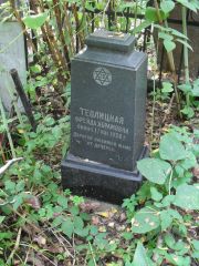 Теплицкая Фрейда Абрамовна, Москва, Востряковское кладбище