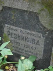 Резникова Софья Иосифовна, Москва, Востряковское кладбище
