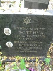 Конькова Ольга Моисеевна, Москва, Востряковское кладбище