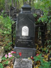 Зейдельберг Владлен Владимирович, Москва, Востряковское кладбище