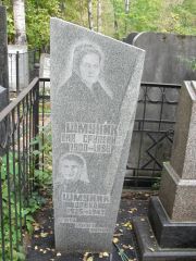 Шмуник Ена Срулевна, Москва, Востряковское кладбище