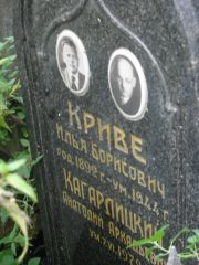 Кагарлицкий Анатолий Аркадьевич, Москва, Востряковское кладбище