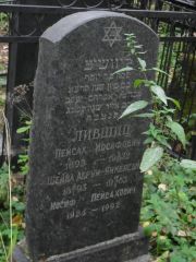 Лившиц Иосиф Пейсахович, Москва, Востряковское кладбище