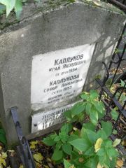 Каплунова Софья Абрамовна, Москва, Востряковское кладбище