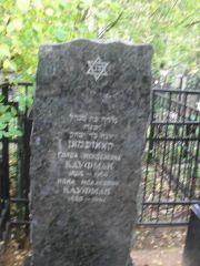 Кауфман Иона Исаакович, Москва, Востряковское кладбище
