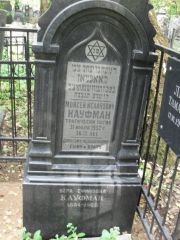 Кауфман Вера Ефимовна, Москва, Востряковское кладбище