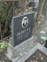 Левит И. Е., Москва, Востряковское кладбище