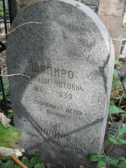 Шапиро Грейном Нотович, Москва, Востряковское кладбище