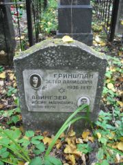 Гриншпан Эстер Давидович, Москва, Востряковское кладбище