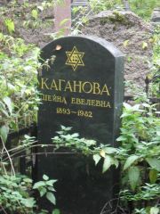 Каганова Шейна Евелевна, Москва, Востряковское кладбище