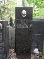 Милейковский Виктор Александрович, Москва, Востряковское кладбище
