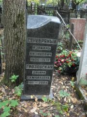 Серебряный Израиль Айзикович, Москва, Востряковское кладбище