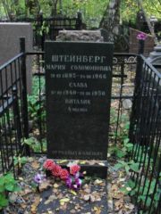 Штейнберг Виталик , Москва, Востряковское кладбище