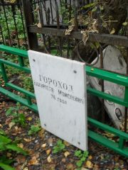 Гороход Елизавета Моисеевна, Москва, Востряковское кладбище