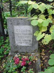 Слоним Ревекка Соломоновна, Москва, Востряковское кладбище