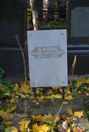 Хавин Нисон Давид, Москва, Востряковское кладбище