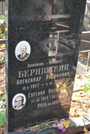 Бернштейн Александр Иосифович, Москва, Востряковское кладбище