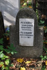 Розенцвайг Хаим-Давид Шлемович, Москва, Востряковское кладбище