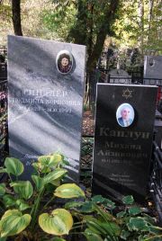 Каплун Михаил Айзикович, Москва, Востряковское кладбище