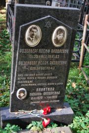 Розенберг Иосиф Яковлевич, Москва, Востряковское кладбище