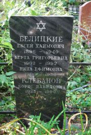 Белицкий Евсей Хаимович, Москва, Востряковское кладбище