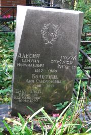 Алесин Самуил Израилевич, Москва, Востряковское кладбище