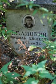 Белицкий Мишэль Евсеевич, Москва, Востряковское кладбище