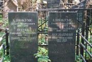Шульцман Илья Моисеевич, Москва, Востряковское кладбище