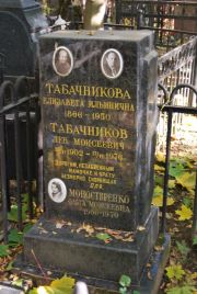 Табачникова Елизавета Ильинична, Москва, Востряковское кладбище