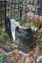 Липкович Семен Александрович, Москва, Востряковское кладбище