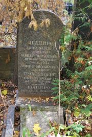 Трахтенберг Михаил Зусевич, Москва, Востряковское кладбище