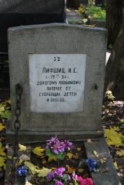 Лифшиц И. Е., Москва, Востряковское кладбище