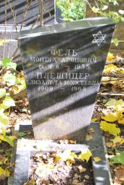 Плещицер Елизавета Моисеевна, Москва, Востряковское кладбище