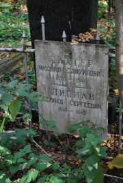 Липман Леонид Сергеевич, Москва, Востряковское кладбище