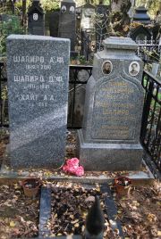 Шапиро Д. Ф., Москва, Востряковское кладбище