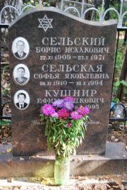 Сельский Борис Исаакович, Москва, Востряковское кладбище